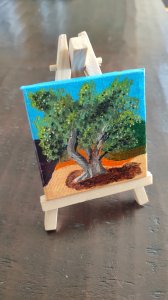 Árbol en miniatura - Olivo