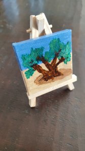 Árbol en miniatura - Olivo