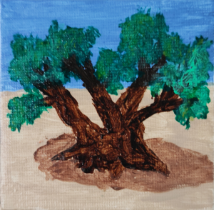 Árbol en miniatura - Olivo