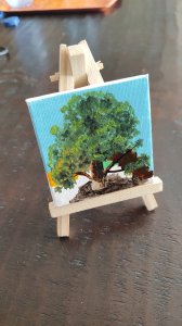 Árbol en miniatura - Roble