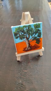 Árbol en miniatura - Carrasca