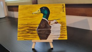 Pato Macho en Aguas Doradas