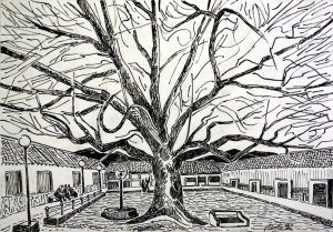 El árbol Isla Taray