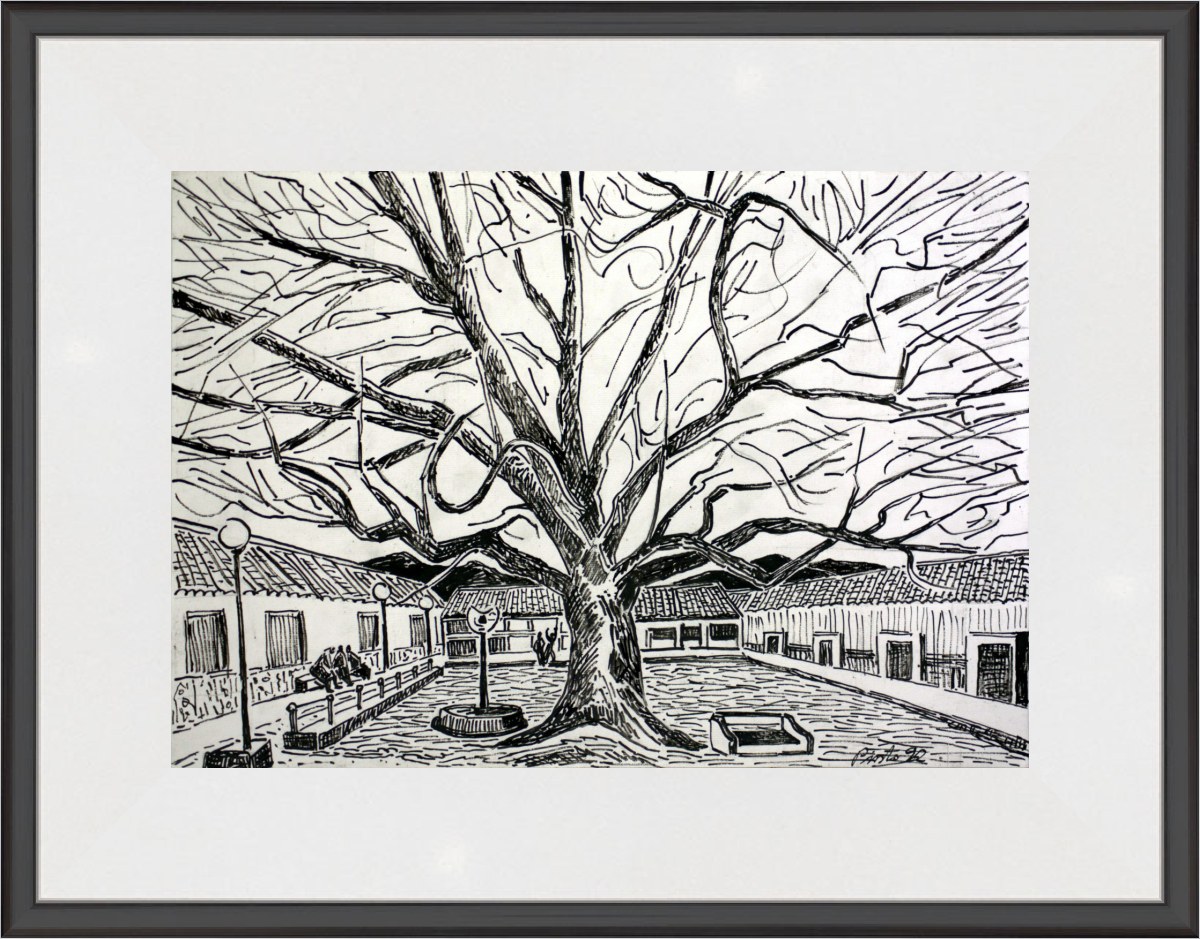 El árbol Isla Taray