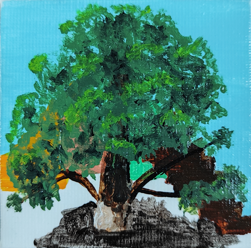 Árbol en miniatura - Roble