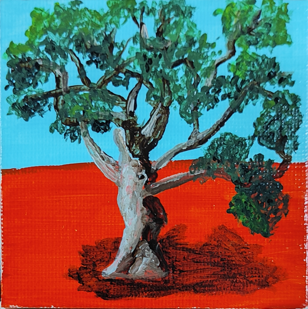 Árbol en miniatura - Carrasca