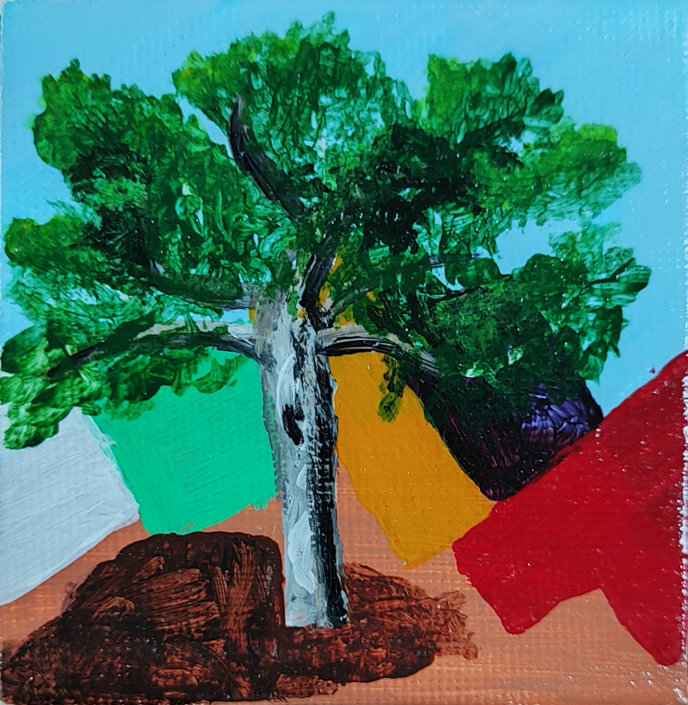 Árbol en miniatura - Pino