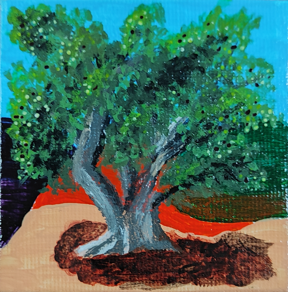 Árbol en miniatura - Olivo